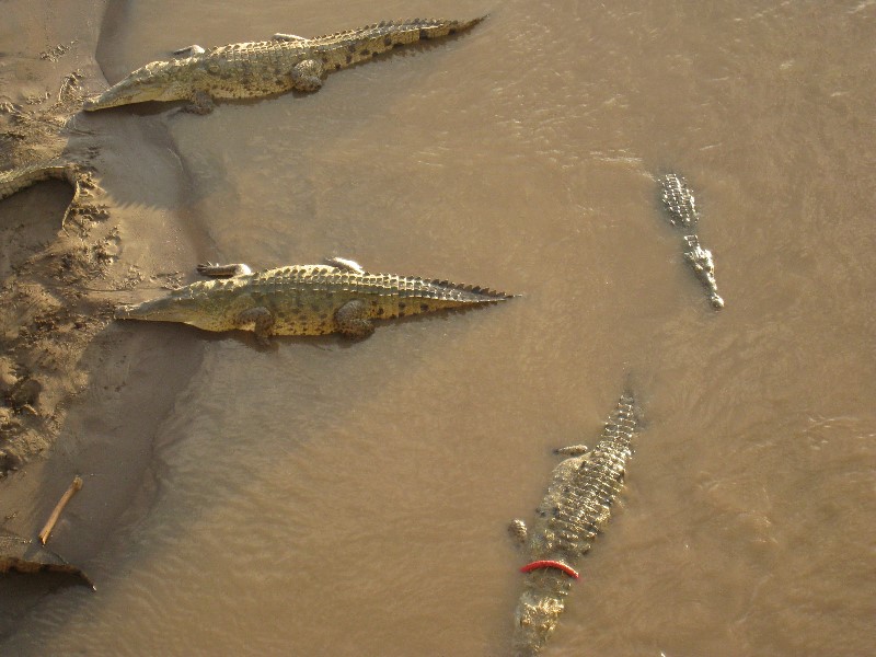 ../Images/Outside of Jaco Beach.jpg